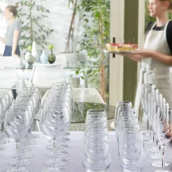 BORMIOLI ROCCO Verre à pied pour vin blanc verre trempé 44 cl Milano Discount