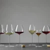 Verre à pied spiritueux verre cristallin 14 cl Sapientia - LUIGI BORMIOLI Outlet
