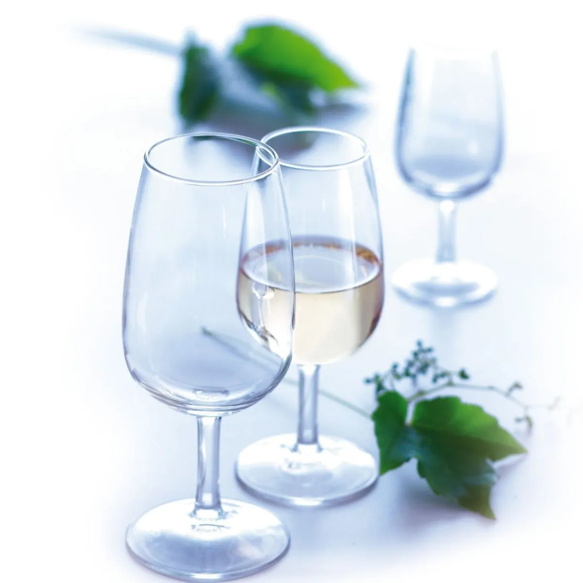 Verre à pied verre 21,5 cl Viticole - ARCOROC Outlet
