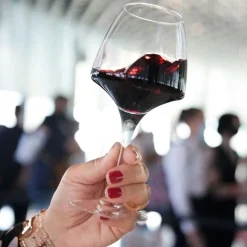 CHEF & SOMMELIER Verre à pied verre cristallin 55 cl Open Up Outlet