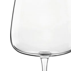 Verre à pied verre cristallin 45 cl Meravigliosi - LUIGI BORMIOLI Outlet