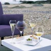 CHEF & SOMMELIER Verre à pied verre cristallin 32 cl Open Up New
