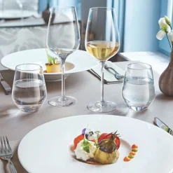 Verre à pied verre cristallin 25 cl Sublym - CHEF & SOMMELIER Outlet