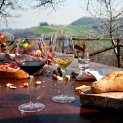 ZWIESEL GLAS Verre à pied verre cristallin 46 cl Belfesta Online