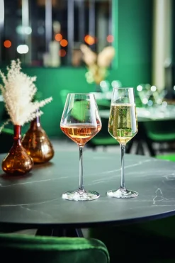 Verre à pied verre cristallin 47 cl Distinction - CHEF & SOMMELIER New