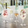 Verre à pied verre cristallin 35 cl Evidence - CHEF & SOMMELIER Outlet