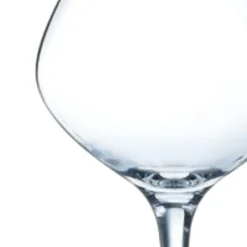 CHEF & SOMMELIER Verre à pied verre cristallin 17 cl Spirits Online