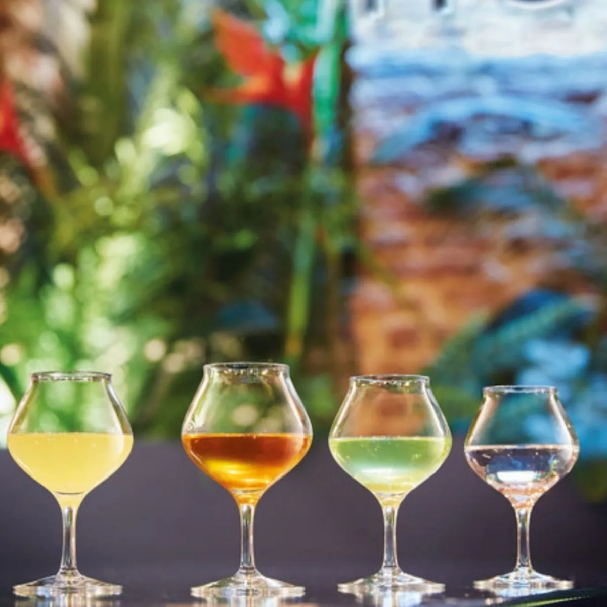 CHEF & SOMMELIER Verre à pied verre cristallin 17 cl Spirits Online