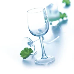 ARCOROC Verre à pied verre trempé 30 cl Elisa Clearance